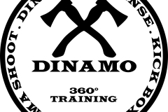 Logo-DINAMO-vettoriale-1-Converted
